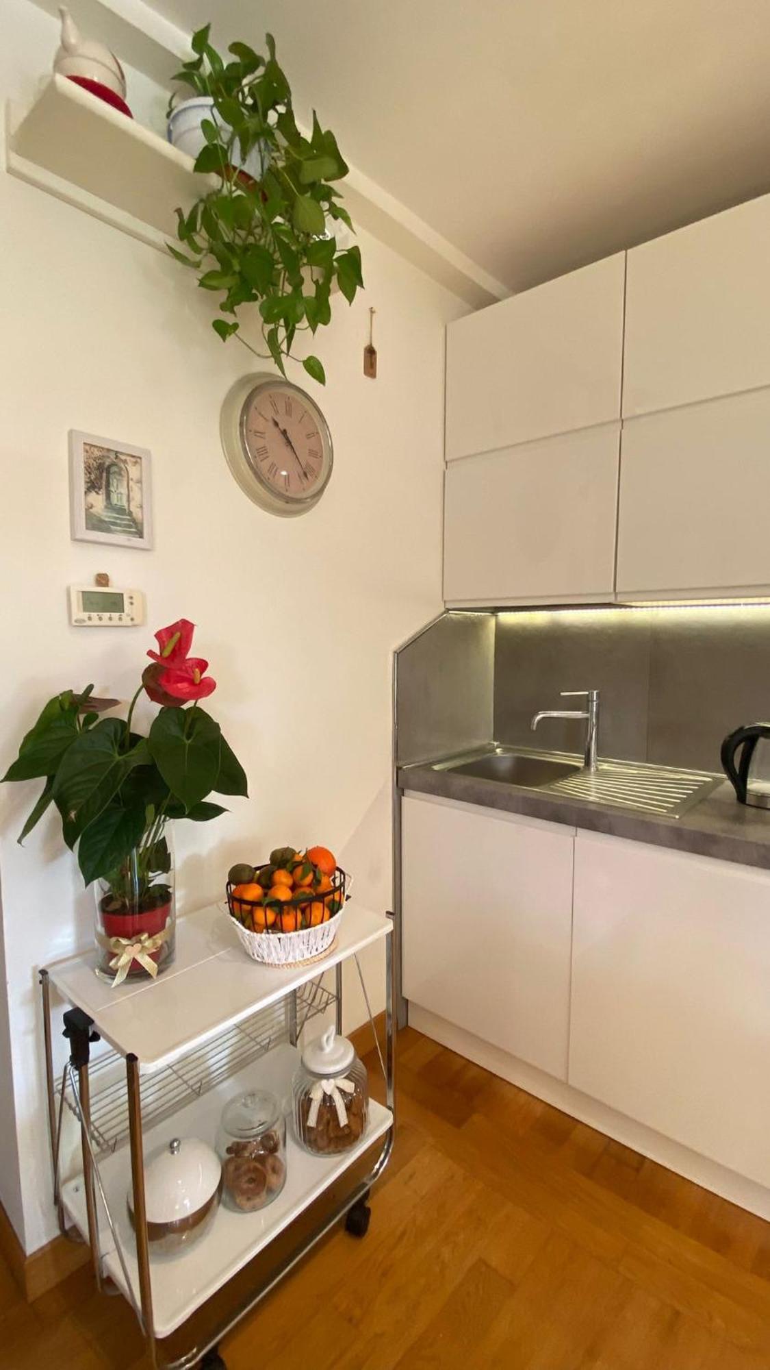 Gemelli Flower's House * Rome